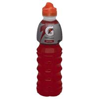 GATORADE FRUIT PUNCH 24/24 OZ