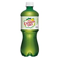 CANADA DRY GINGER ALE 24/20 OZ