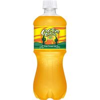 CACTUS COOLER 24/20 OZ