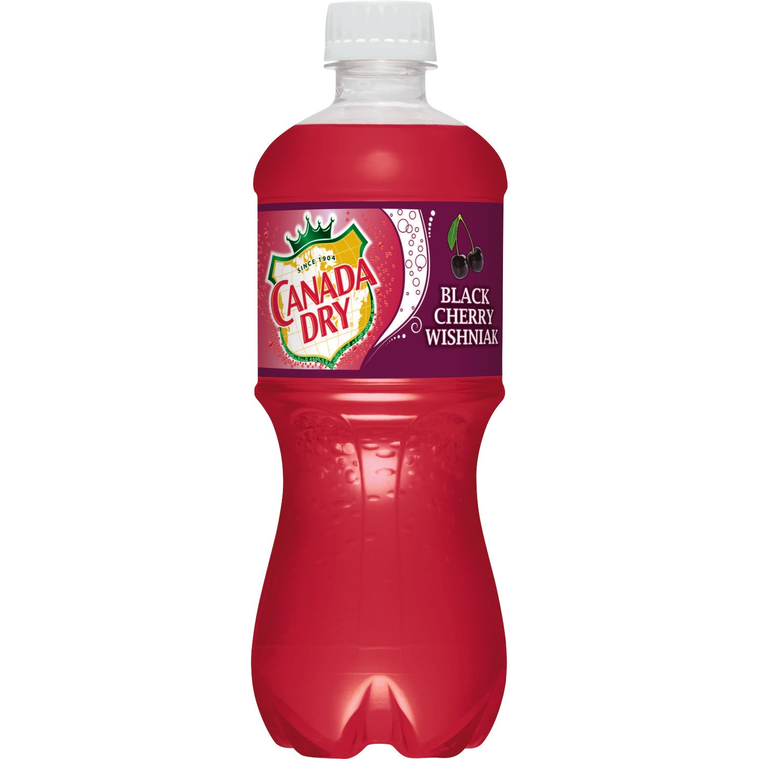 CANADA DRY BLACK CHERRY 24/20 OZ